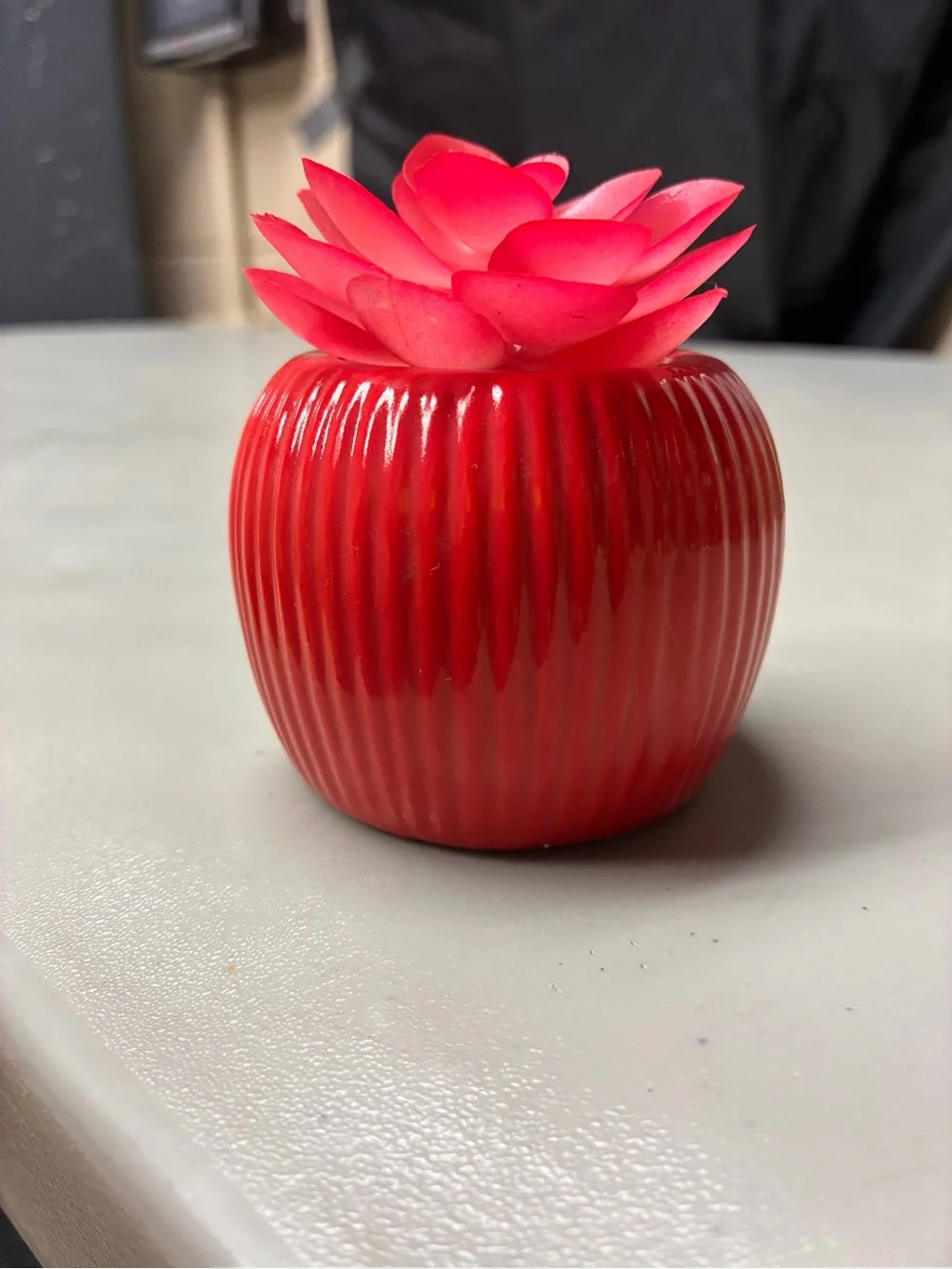 Nightmare Before Christmas “Sally” Mini Faux Succulent Plant